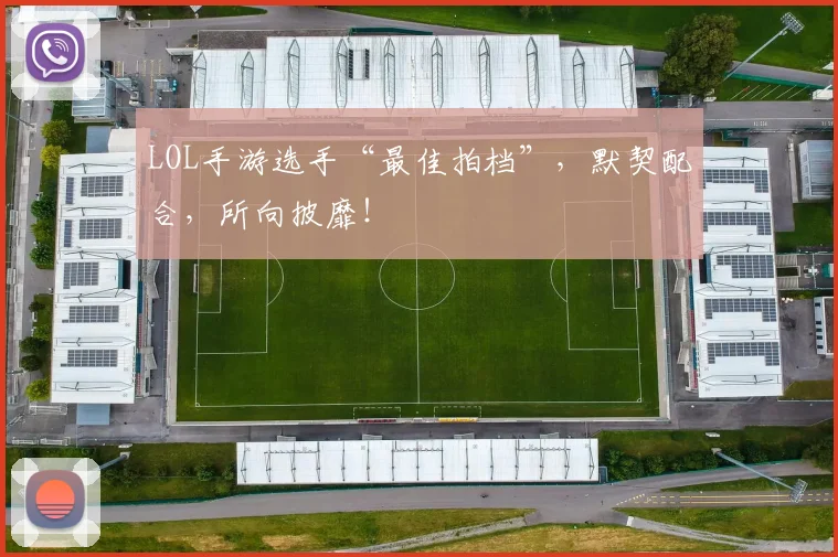 LOL手游选手“最佳拍档”，默契配合，所向披靡！