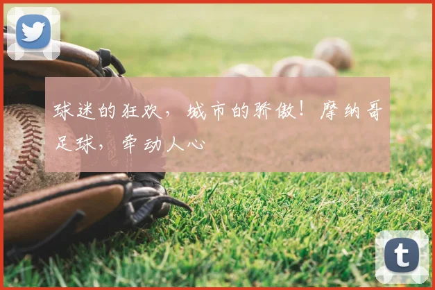 球迷的狂欢，城市的骄傲！摩纳哥足球，牵动人心