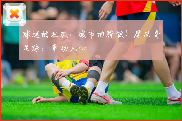 球迷的狂欢，城市的骄傲！摩纳哥足球，牵动人心
