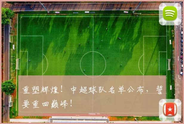 重塑辉煌！中超球队名单公布，誓要重回巅峰！